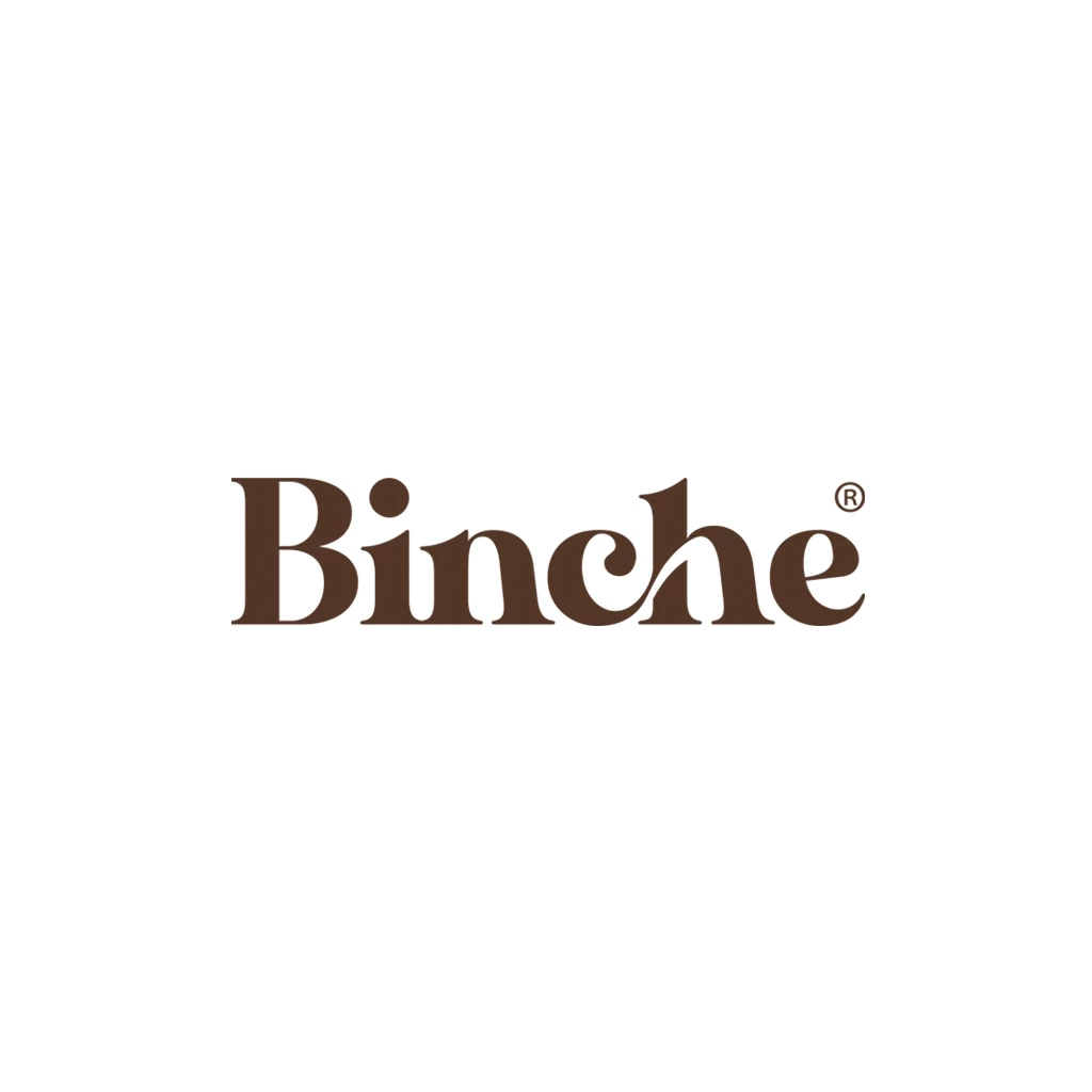 Binche Elegant Serif Wordmark
